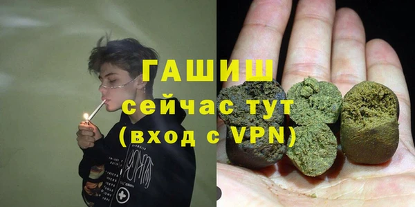 мдпв Пестово