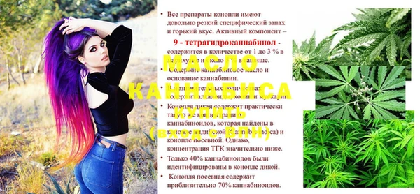молекула духа Осташков