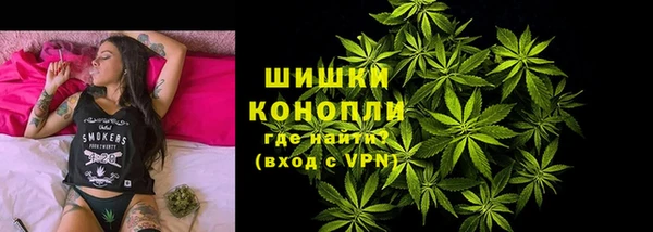 мдпв Пестово