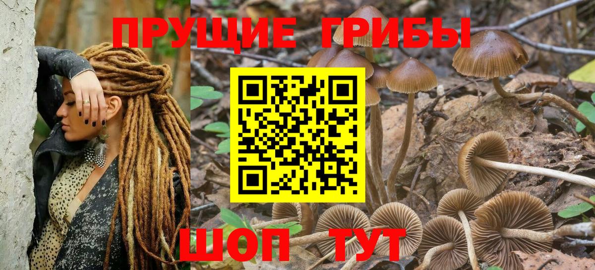 Псилоцибиновые грибы MAGIC MUSHROOMS  Псилоцибиновые грибы мухоморы  Вход с VPN  Иркутск 