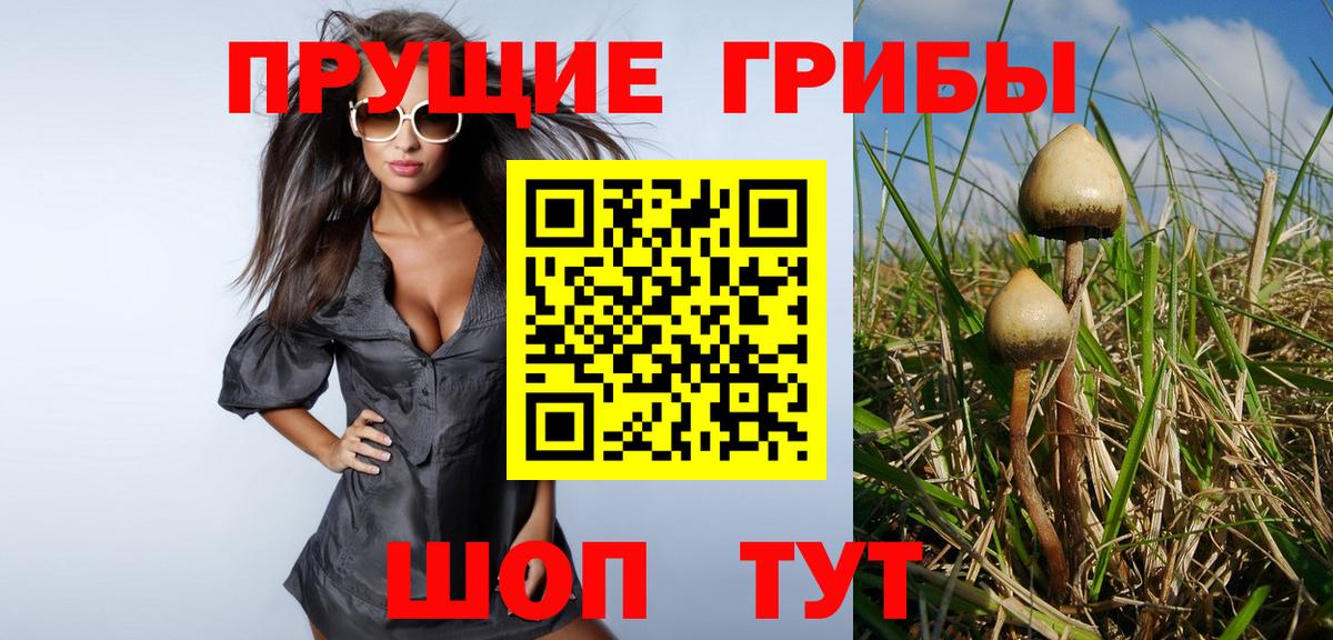 Галлюциногенные грибы MAGIC MUSHROOMS Иркутск