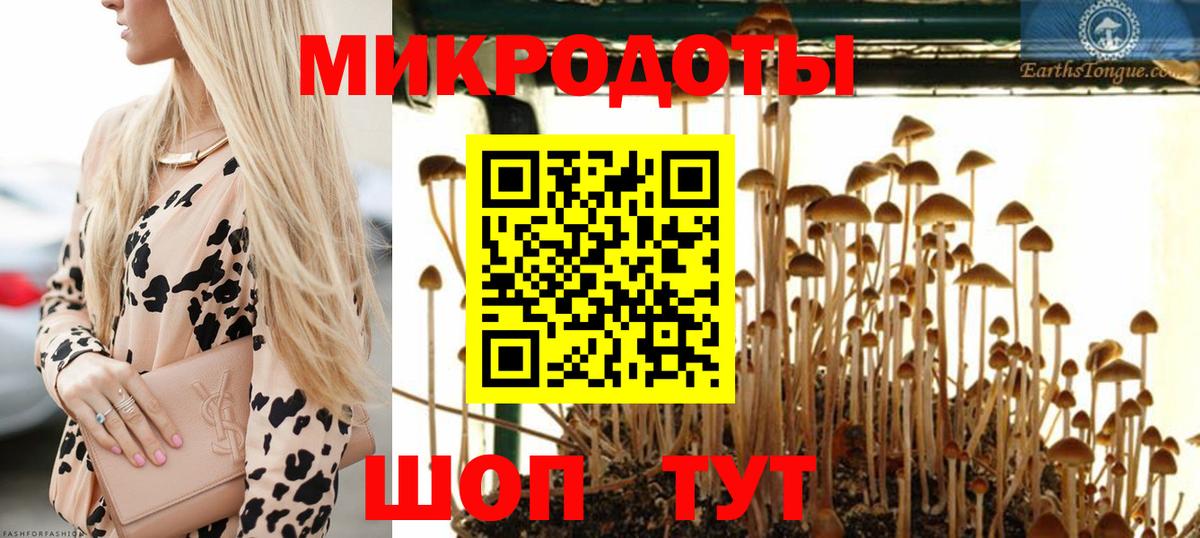 ГАШ Иркутск